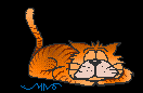 kittykittycat48's avatar