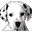 chattanoogadog's avatar
